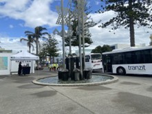 buses