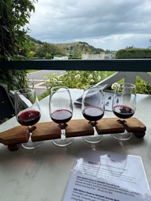 Wine tasting Mission Estate Winery